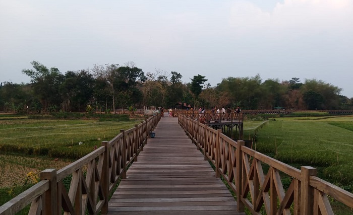 Jembatan Kayu Waduk Cengklik, rekomendasi tempat wisata di Boyolali, Jawa Tengah.