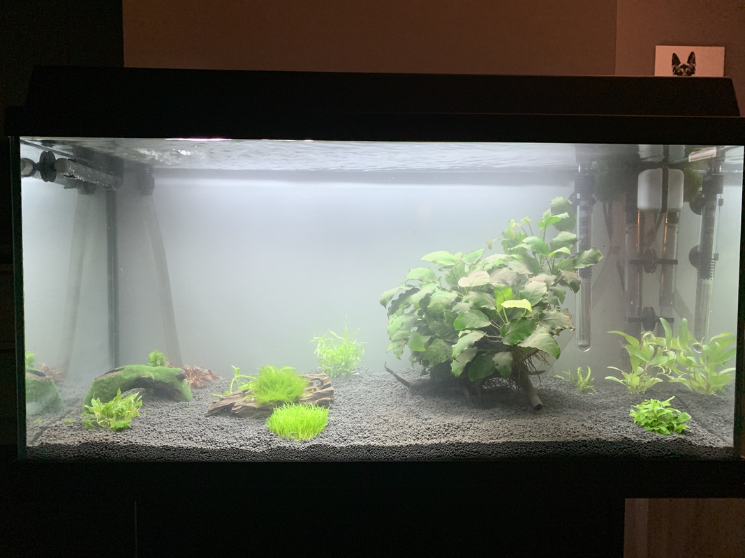 1BB43DF4-CD11-4786-8C3A-91F21CE59A99