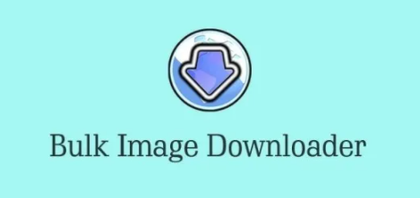 Bulk Image Downloader 6.03 Multilingual