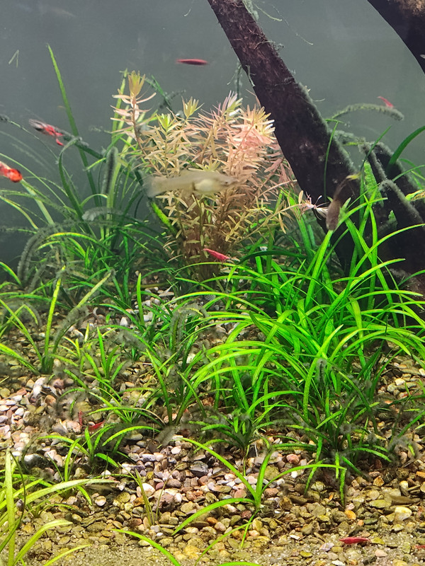 IMG_20251010_174457325