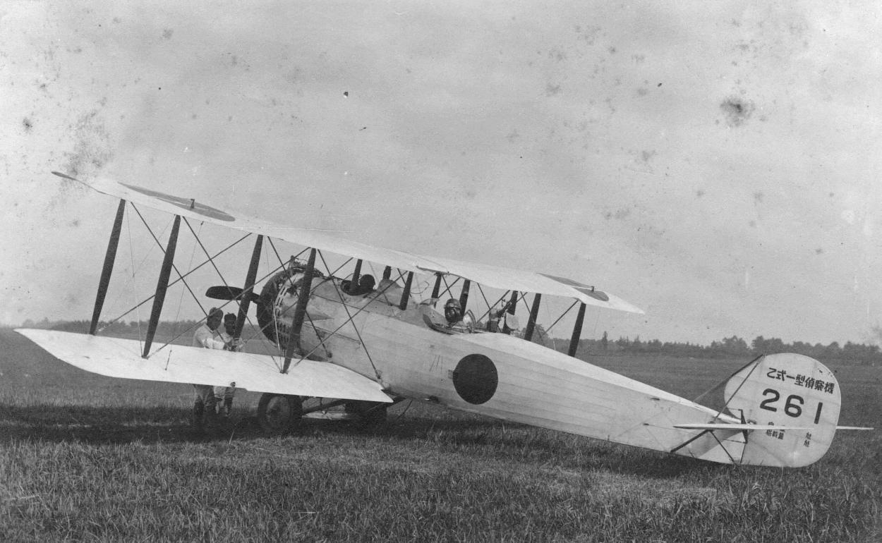 JapanSalmson01