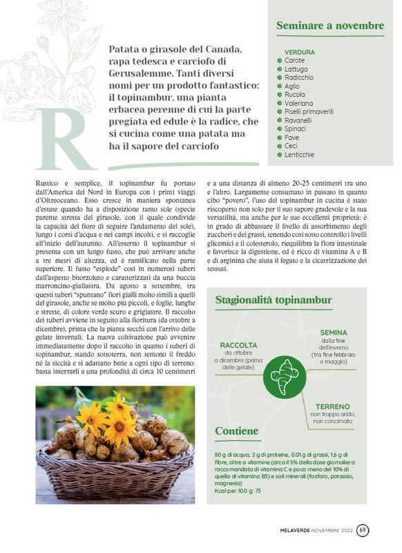 melaverde Nov 2022 (8)