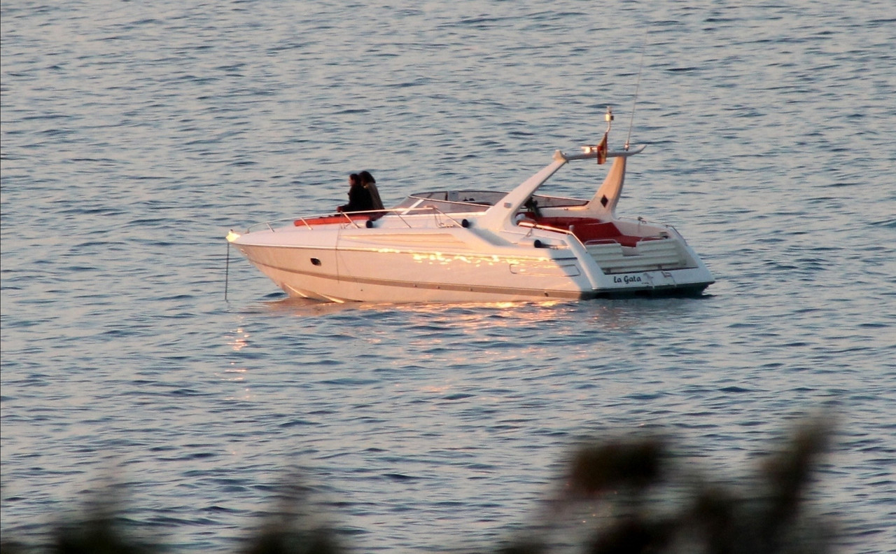 emmawatson-updates.com (78)