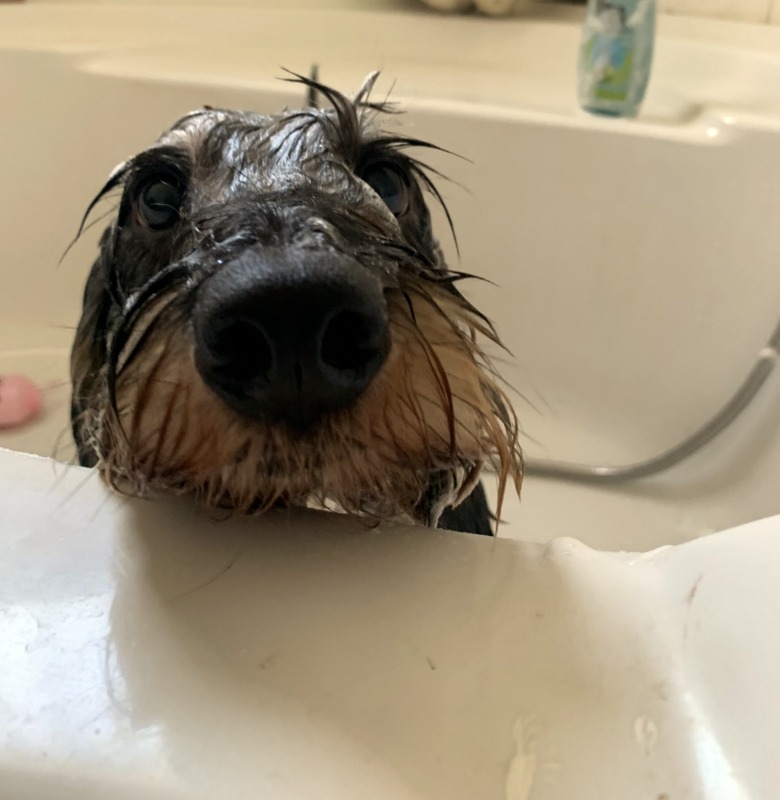 [Image: IMG-1125.jpg]