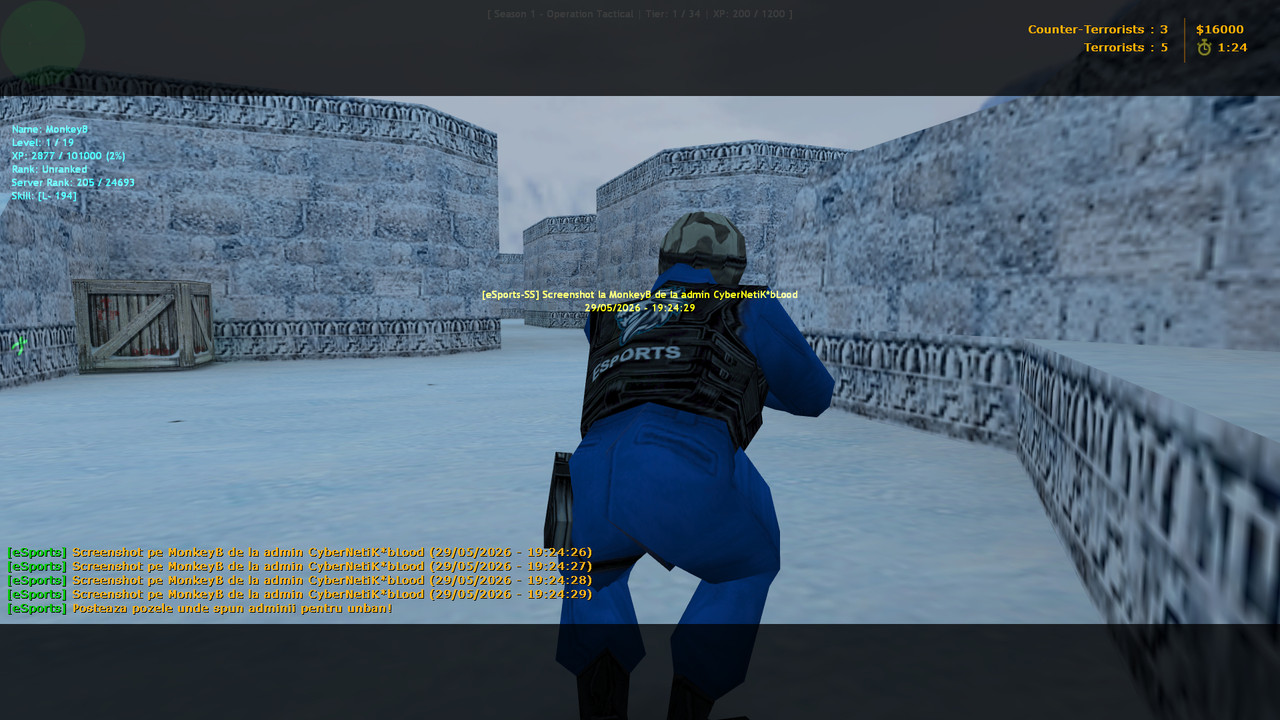 fy snow0003