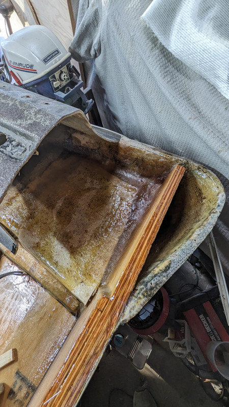 PXL_20240206_223349381