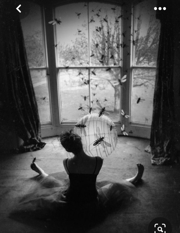 Screenshot_20230526_164247_Pinterest