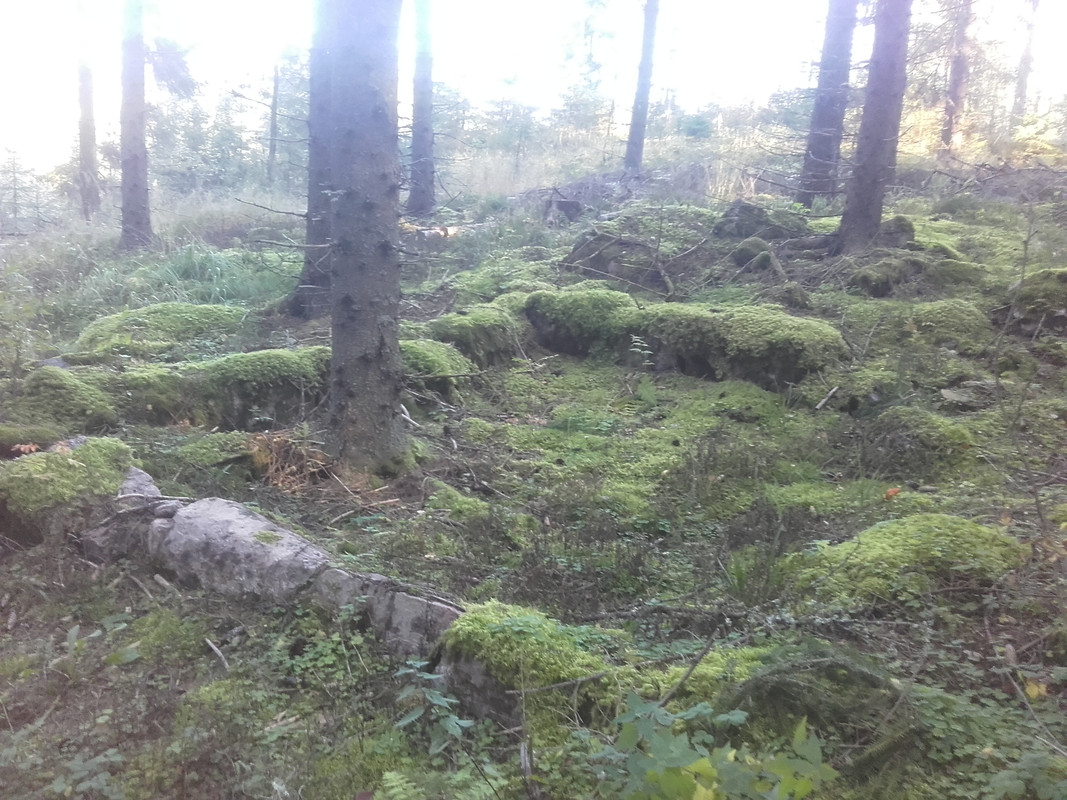20160914_082700