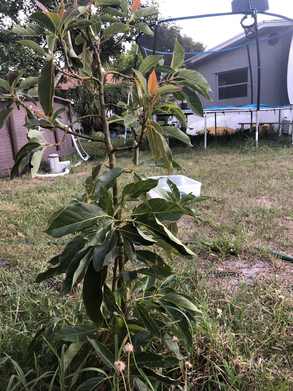 ECE6DBB9-E954-4A72-8B13-C985DB6F6F01