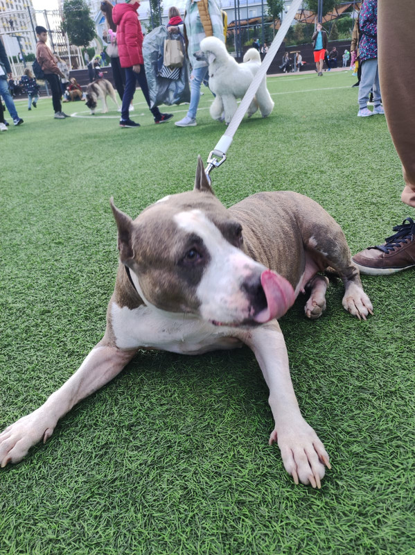 1D46F044-3D23-43FF-A641-24147BE7A1DC