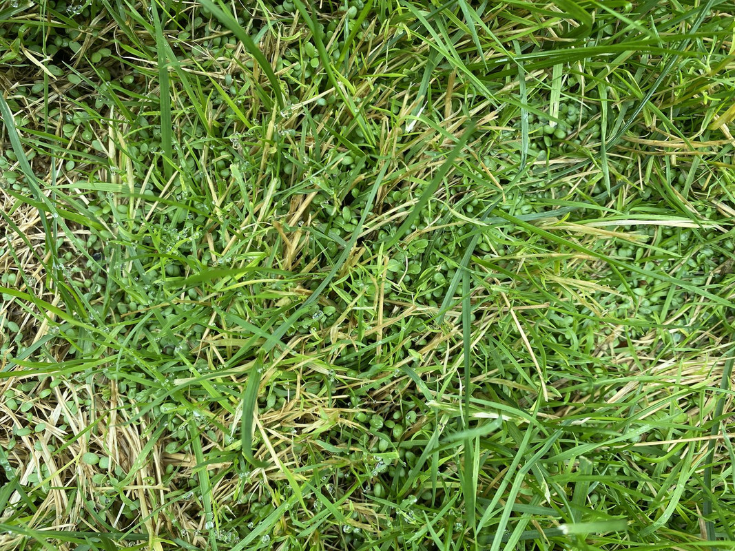 CB7CCA9A-7476-41D1-9FD5-76811F32C53E