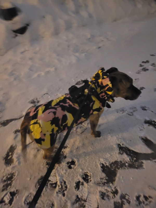 8CCDDCBE-3AF3-4054-A25D-2951312695C2