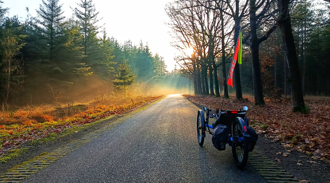 [Afbeelding: 1000040142.jpg]