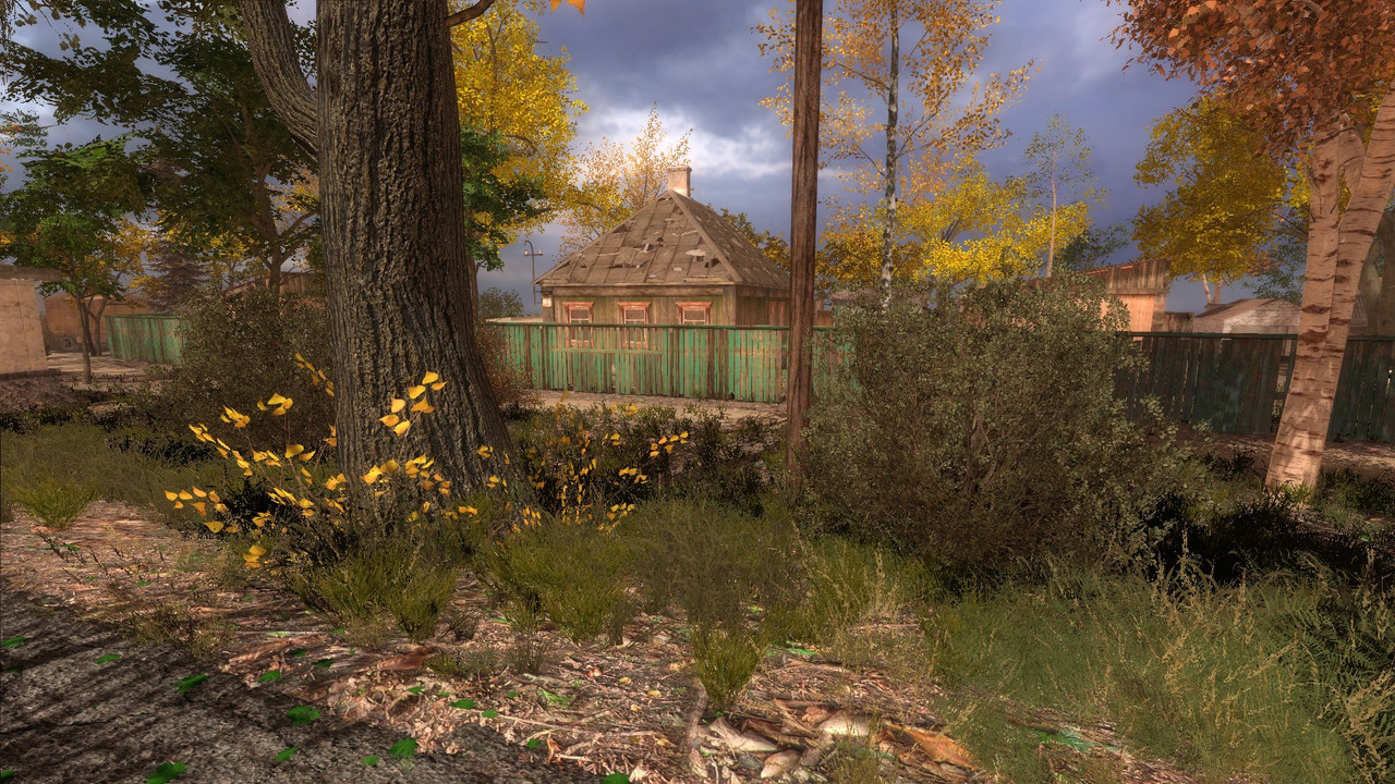 ss_professional_08-22-25_02-47-20_(l01_floodplant)