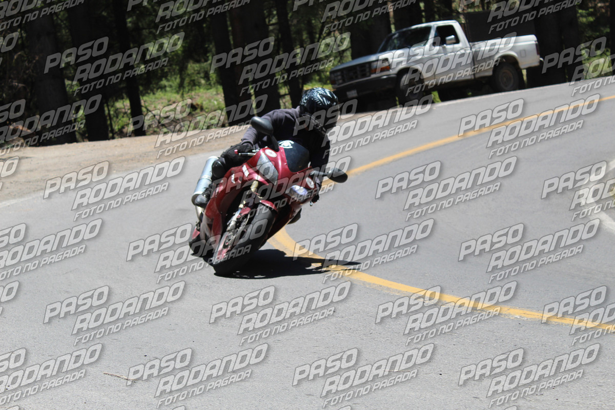 IMG 8775 wm 7254720 300000001 watermarked — Postimages