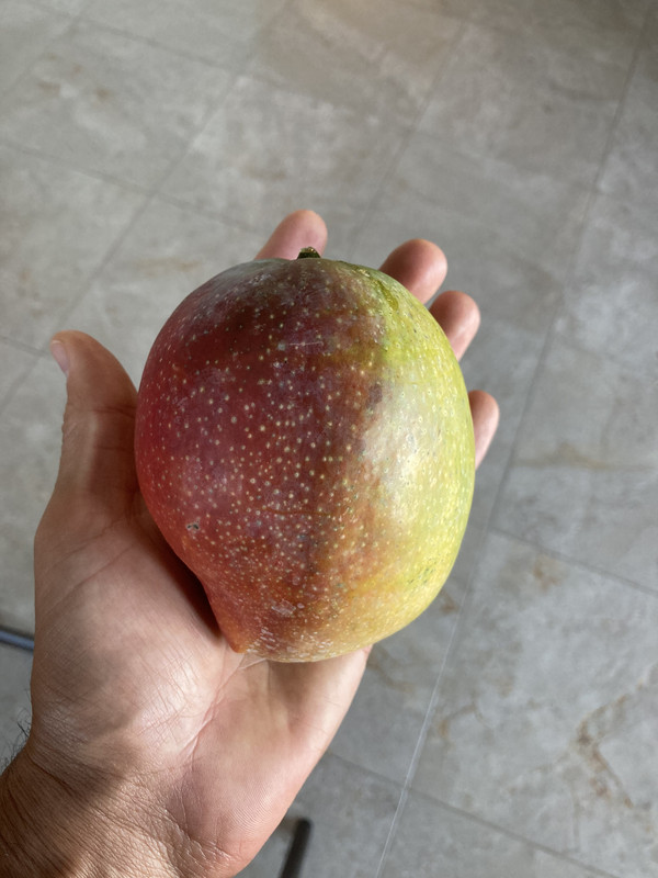 7382D091-D384-47F9-BFFE-A944C4A3B212