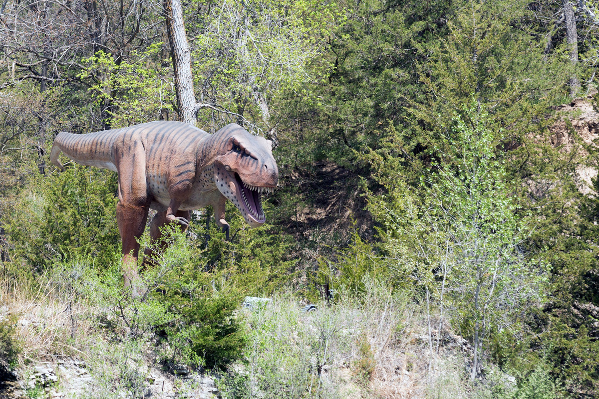 Wildlife Safari Park-9505