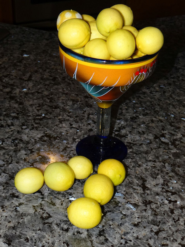 MexLimes#4