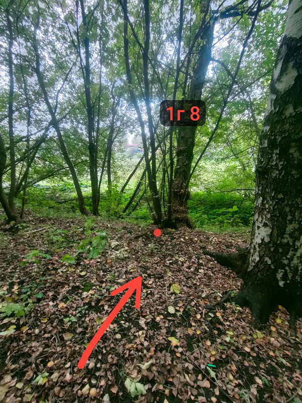 IMG_20251003_130455_716