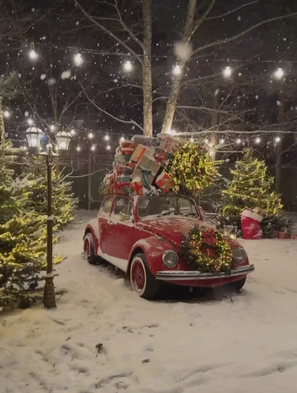 Screenshot_20231206_204920_Instagram