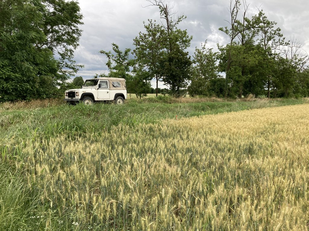 1C8C2F2D-0D51-414D-996F-CCD76770BFF1