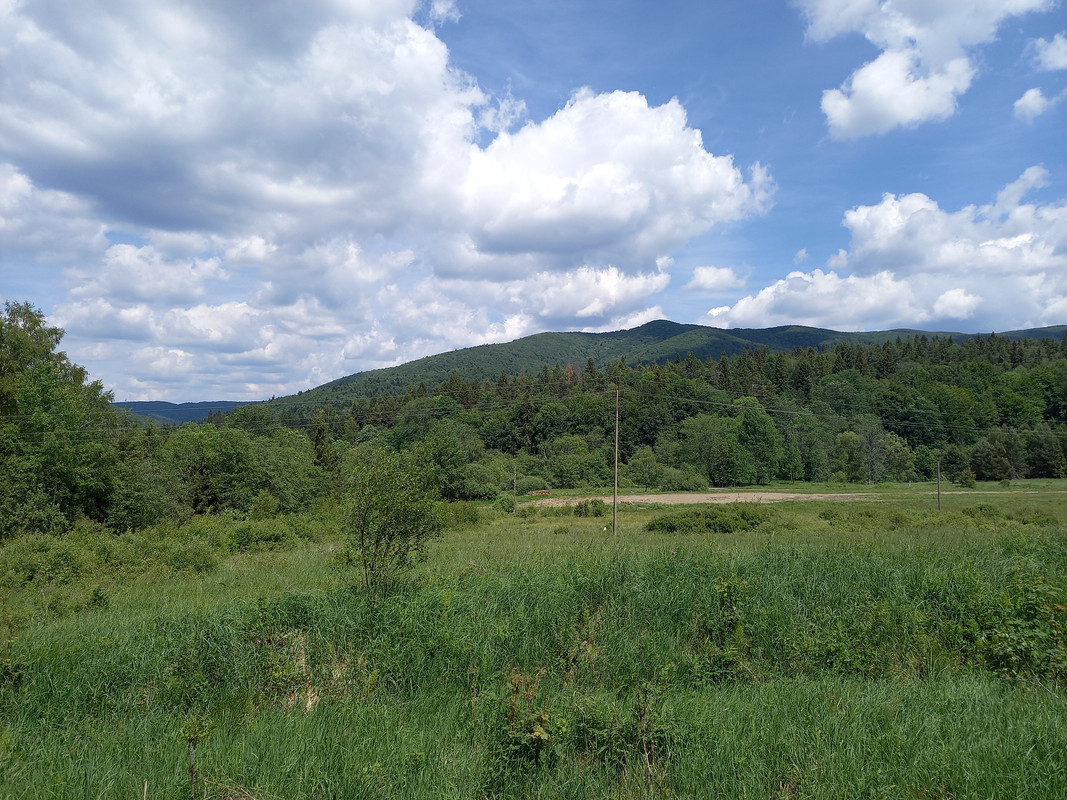 09.07b - 20220616_132427 TomaszL)