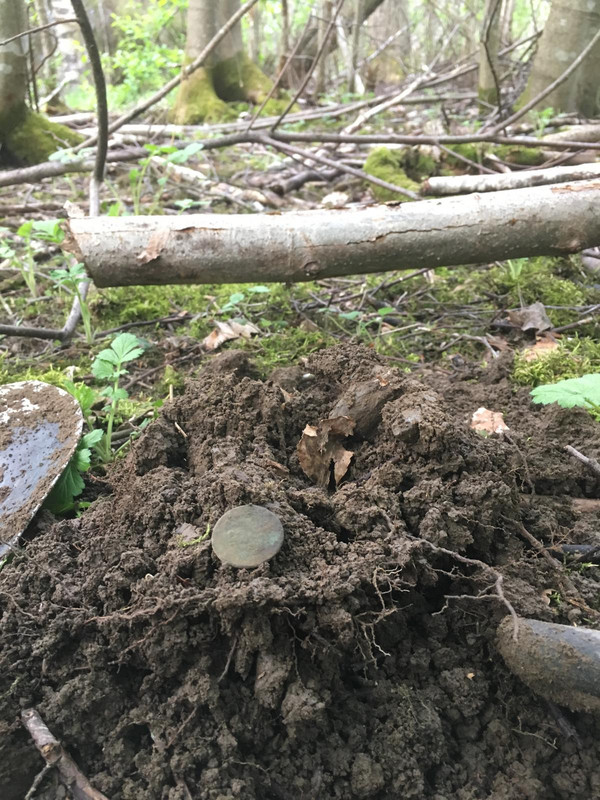 4D77F0E1-4AA3-4E92-AB36-259852CBD1D3