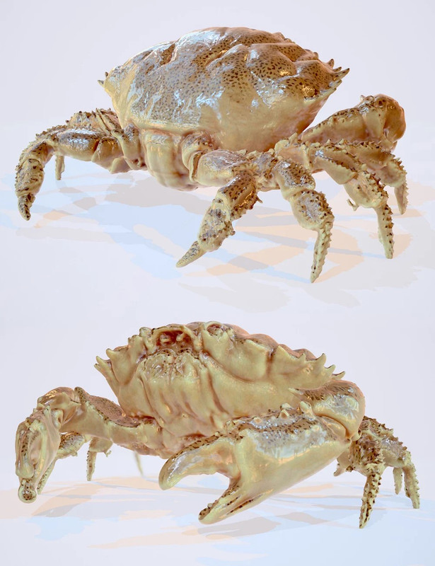 Crab