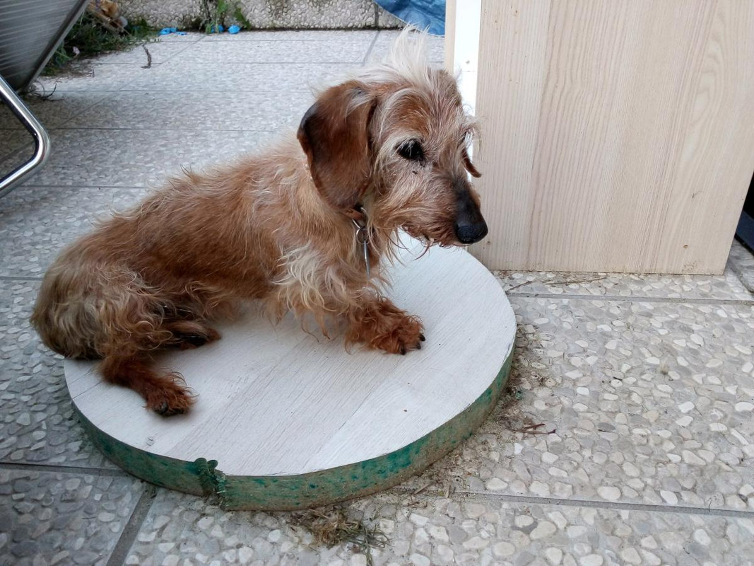 [Image: IMG-20210808-110443434.jpg]