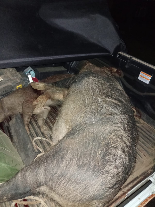 WhatsApp Image 2022-10-10 at 12.14.16(1)