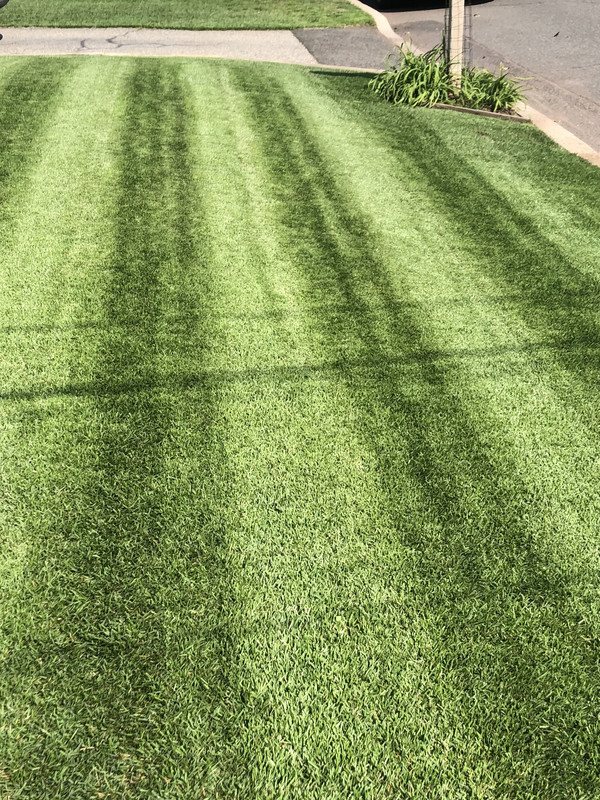 A8A2CC16-9F92-4388-8F76-139A1A786F7B