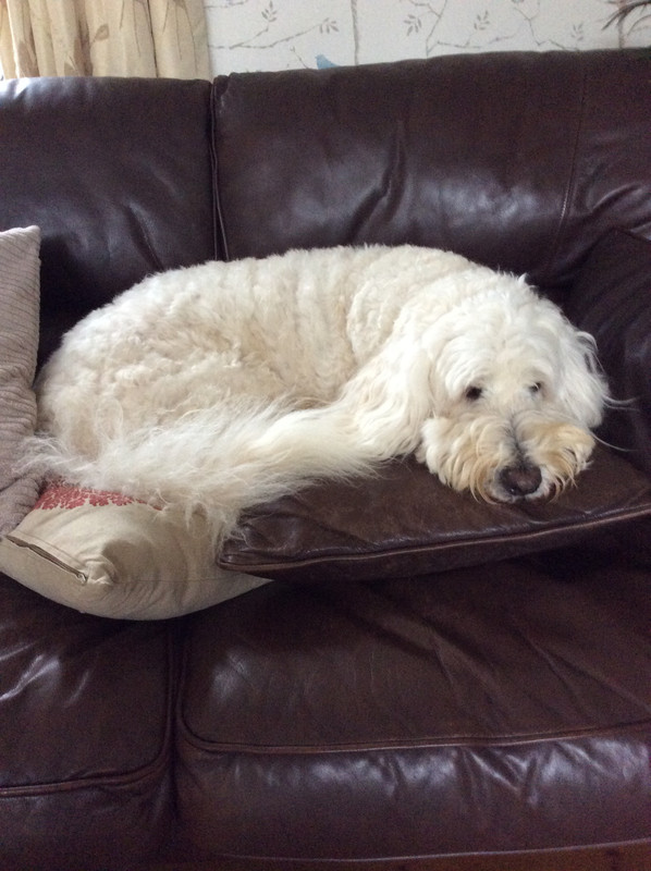 6930D57B-05B8-412E-82EF-A52A9D33FC56