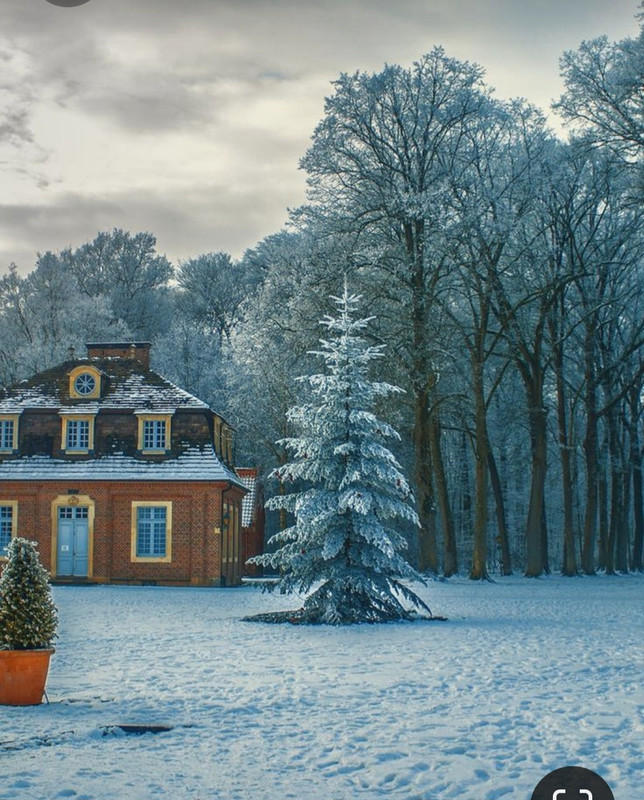 Screenshot_20231023_201303_Pinterest