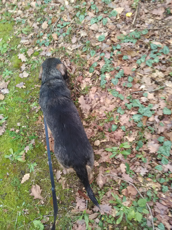 [Image: IMG-20230115-145258.jpg]