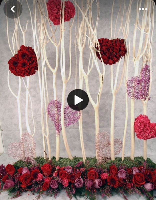 Screenshot_20240212_004232_Pinterest