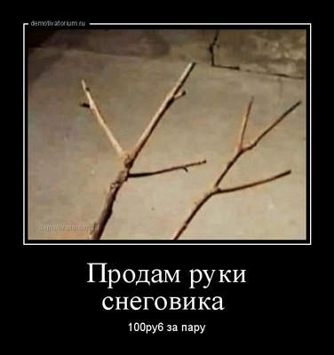 tmb_demotivatorium_ru_prodam_ruki_snegovika_181166