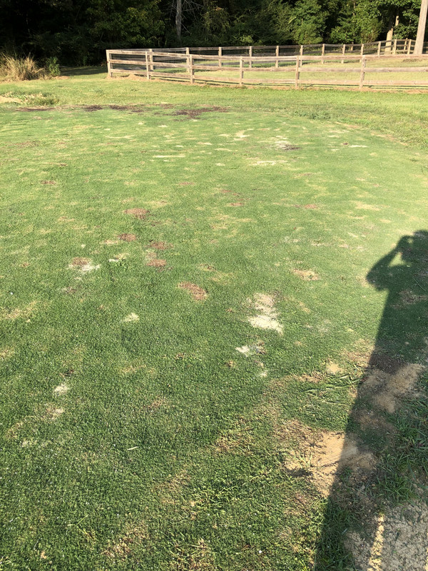 41C74176-119D-4F26-BB56-74F4047C9D4D