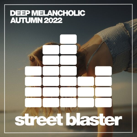 754a3f2d ff77 41cd 84b8 4f39566f14e8 - VA - Deep Melancholic Autumn 2022 (2022)