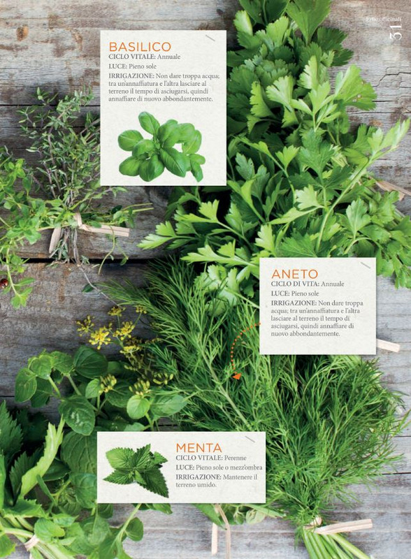 guS - Giugno 2022 (12)