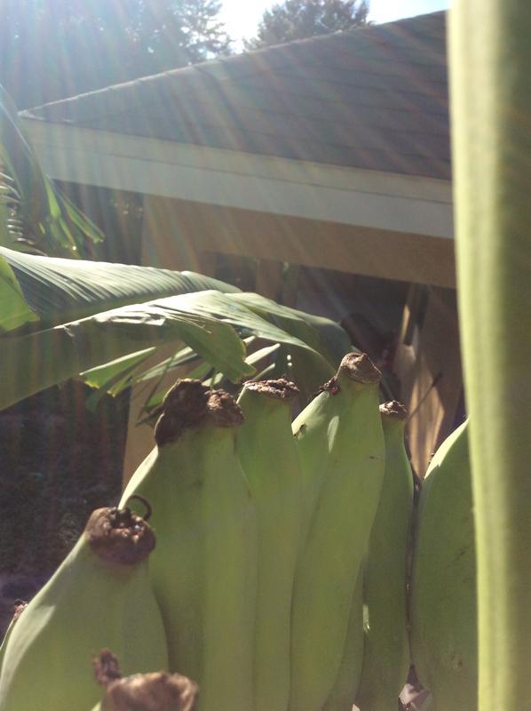 54F110EA-CE64-4820-A558-31702B63B609