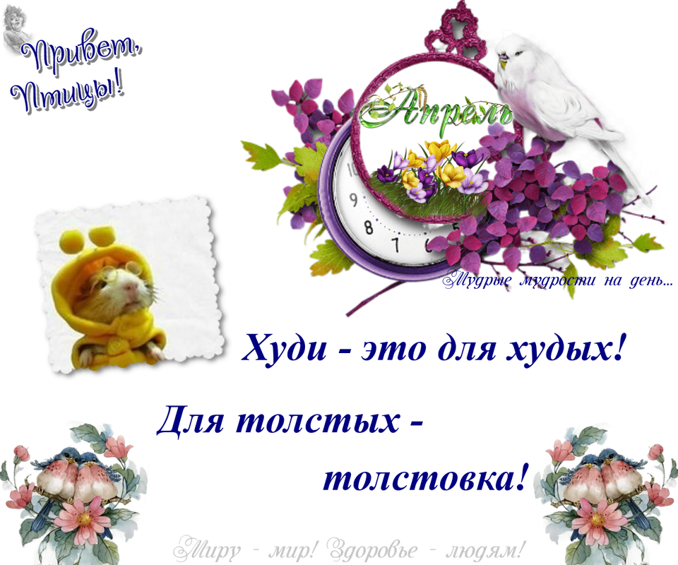 https://i.postimg.cc/WpMCDh6T/16-04.png
