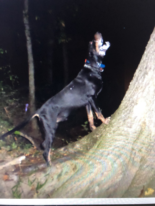 C64F5459-8DB6-4660-ACDE-B9DAA455192E