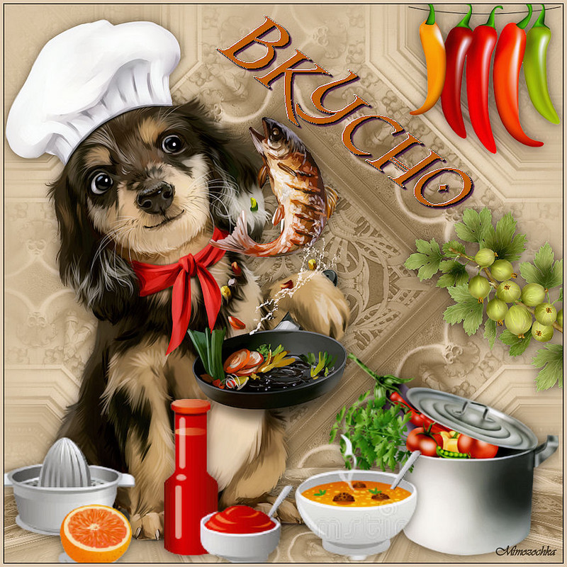вкусно собака повар