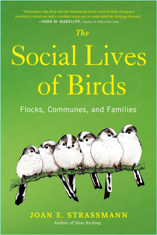 [Image: 8wkw3mopre13.png]