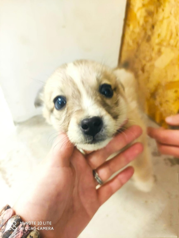 тула2 — копия