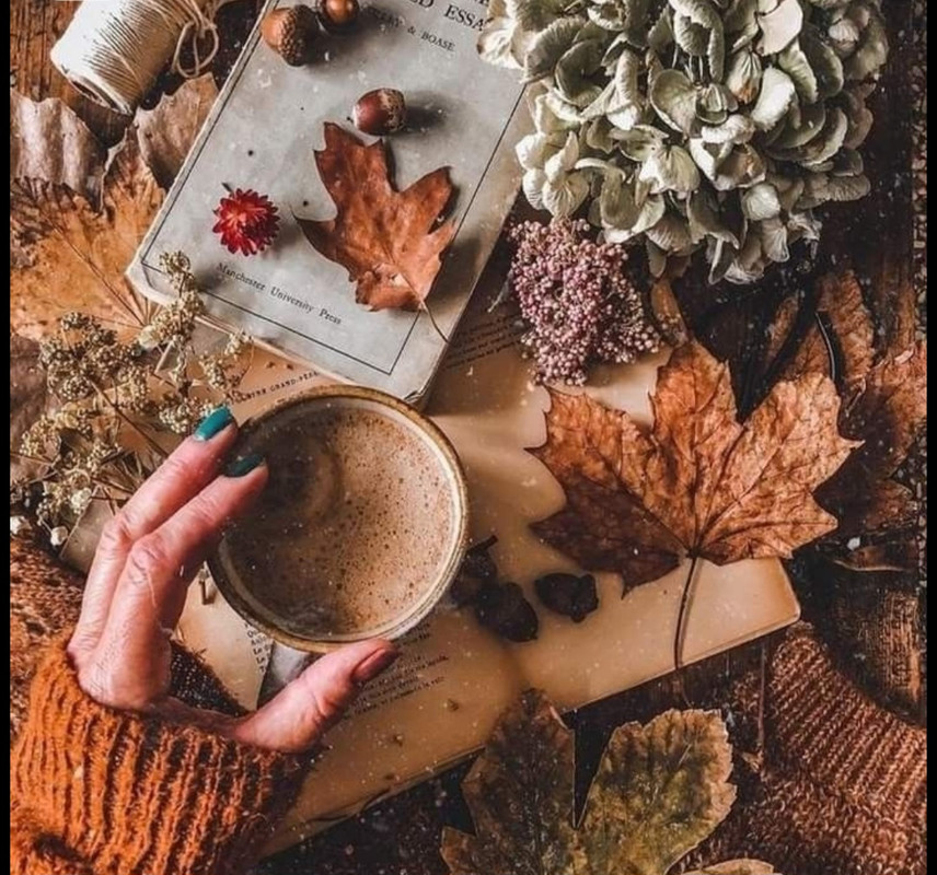 Screenshot_20251002_194528_Pinterest