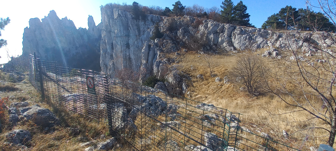 20231031-124908.jpg