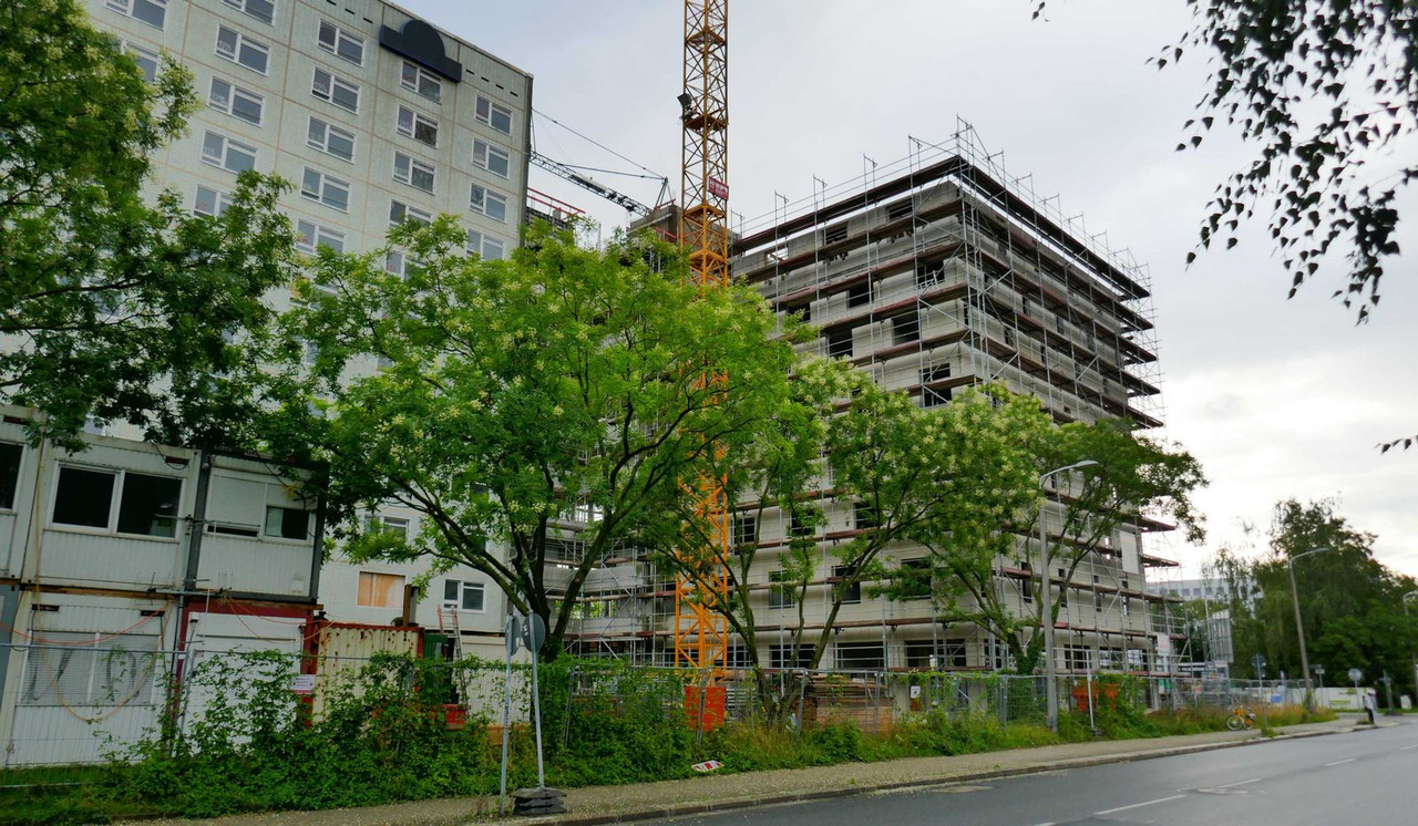 Bild: https://i.postimg.cc/WpQnpPFy/P1290948.jpg