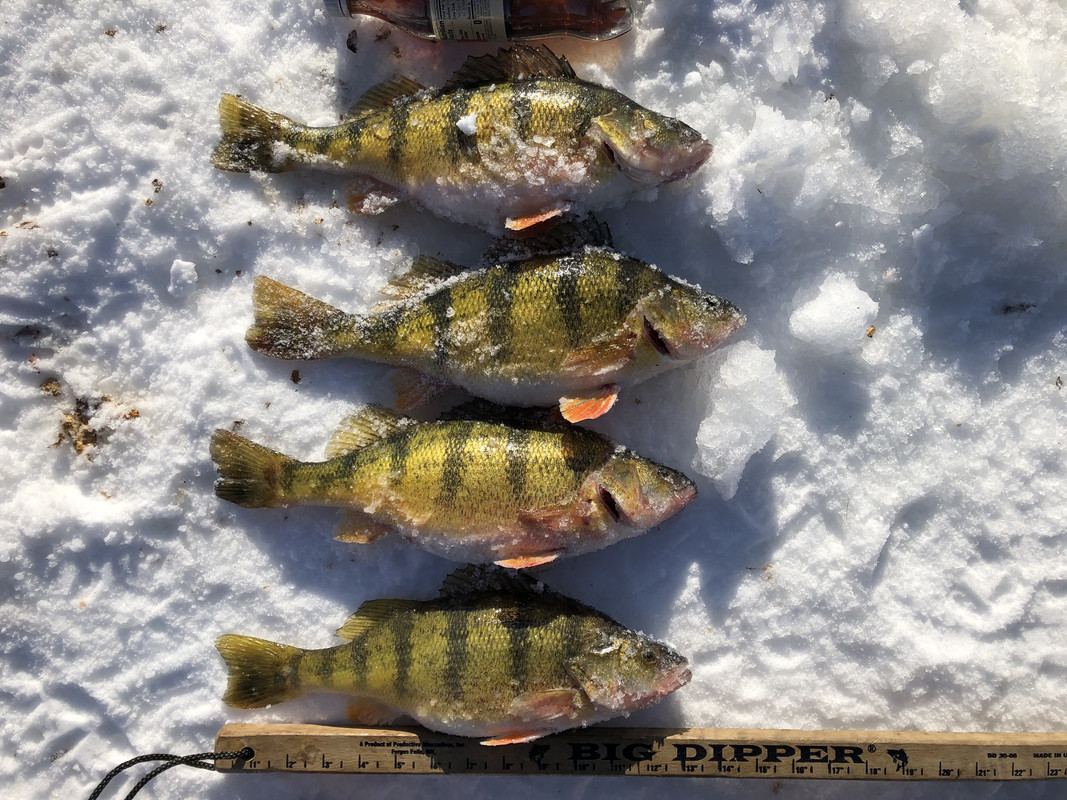 2EA70195-8D09-413D-A7F1-C4EBD196C482