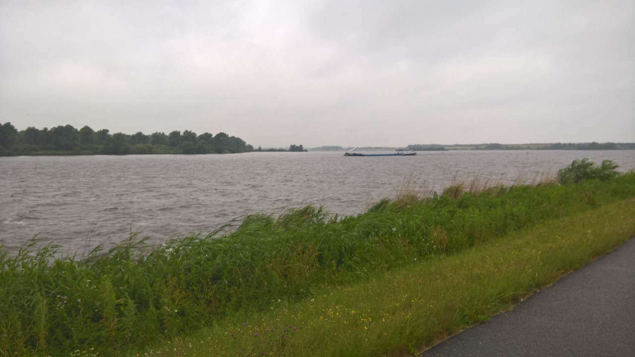 WP_20160620_09_27_49_Pro_LI